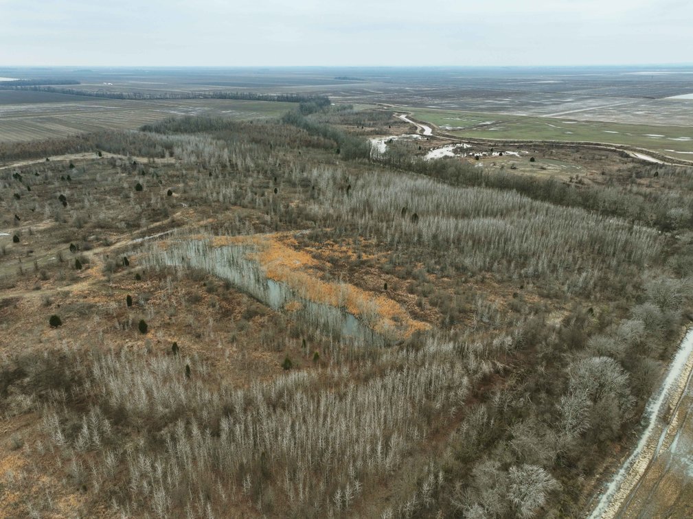Image for 163.02 Acres +/-, County Line Road 832, Sikeston, MO 63801, MLS #25014302