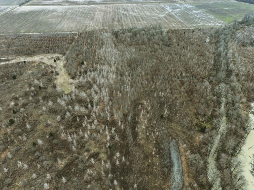 Image for 163.02 Acres +/-, County Line Road 832, Sikeston, MO 63801, MLS #25014302