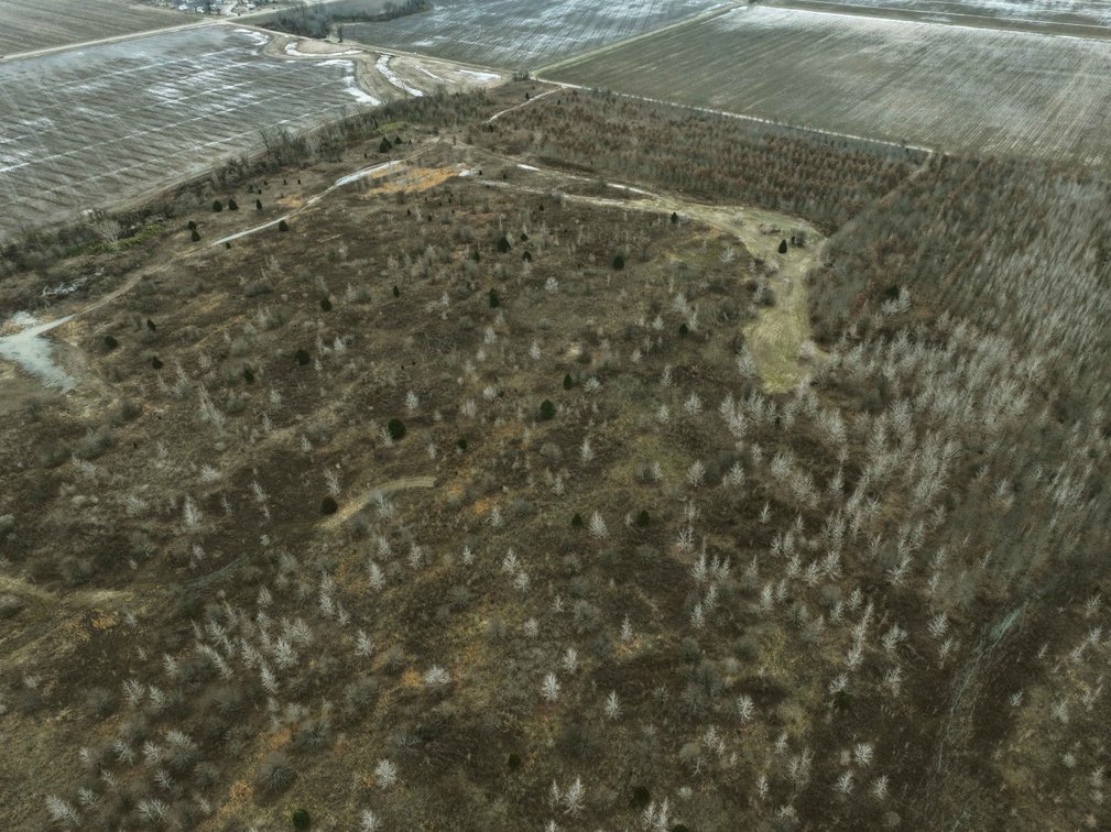 Image for 163.02 Acres +/-, County Line Road 832, Sikeston, MO 63801, MLS #25014302