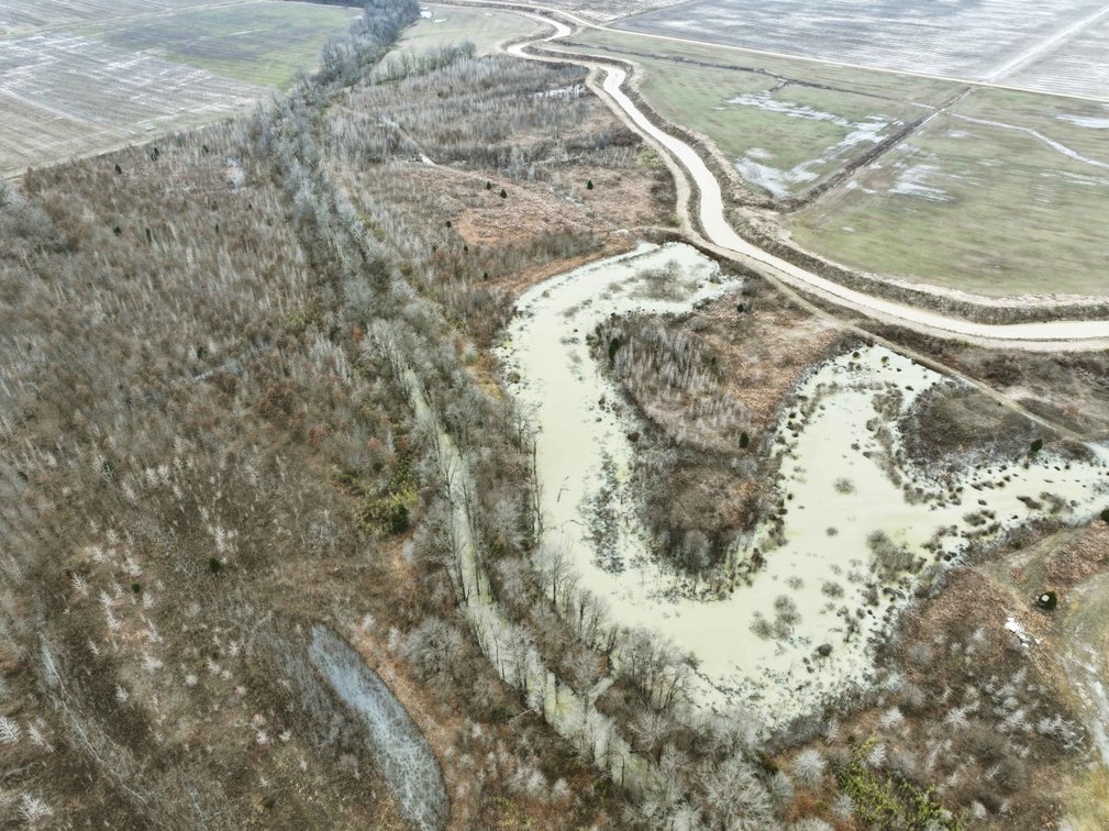 Image for 163.02 Acres +/-, County Line Road 832, Sikeston, MO 63801, MLS #25014302