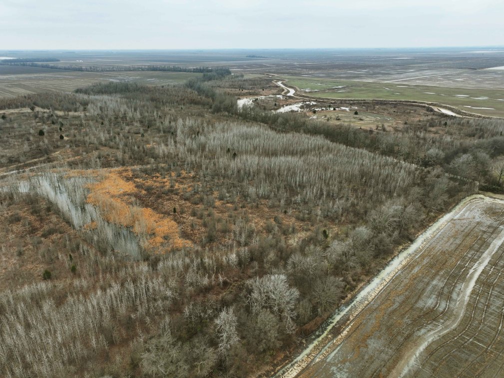 Image for 163.02 Acres +/-, County Line Road 832, Sikeston, MO 63801, MLS #25014302