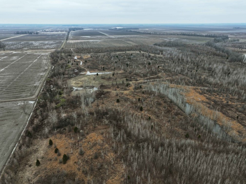 Image for 163.02 Acres +/-, County Line Road 832, Sikeston, MO 63801, MLS #25014302