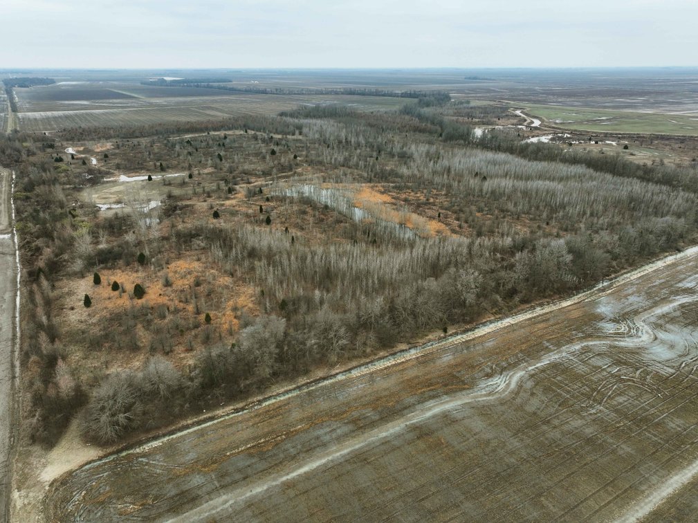Image for 163.02 Acres +/-, County Line Road 832, Sikeston, MO 63801, MLS #25014302