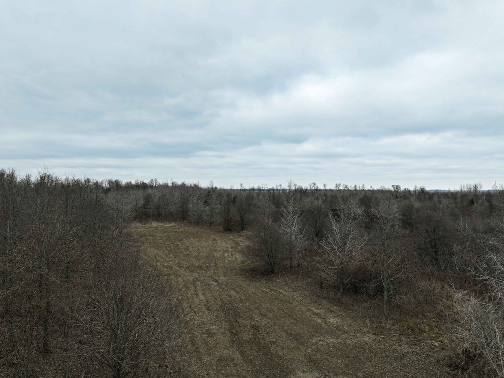 Image for 163.02 Acres +/-, County Line Road 832, Sikeston, MO 63801, MLS #25014302