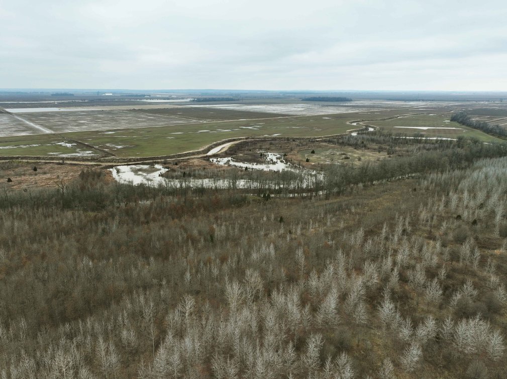 Image for 163.02 Acres +/-, County Line Road 832, Sikeston, MO 63801, MLS #25014302