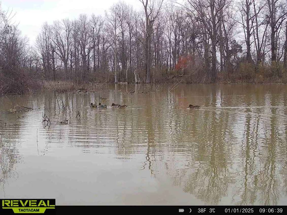 Image for 163.02 Acres +/-, County Line Road 832, Sikeston, MO 63801, MLS #25014302