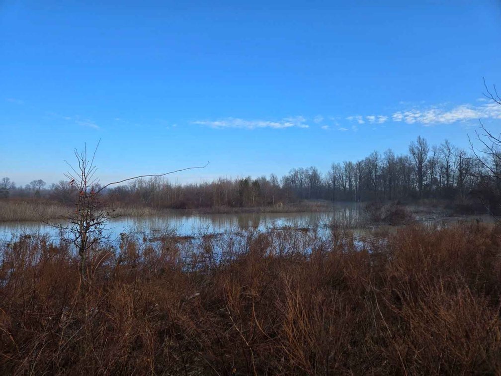 Image for 163.02 Acres +/-, County Line Road 832, Sikeston, MO 63801, MLS #25014302
