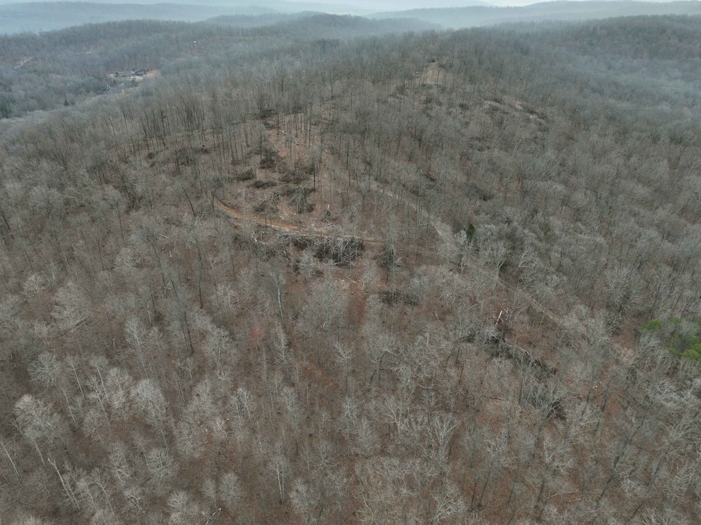 Image for 84.02 Acres +/-, BCR 532, Zalma MO 63787, MLS #25015211
