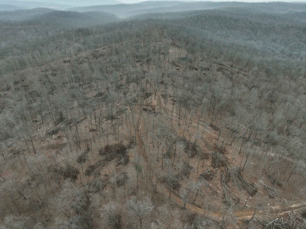 Image for 84.02 Acres +/-, BCR 532, Zalma MO 63787, MLS #25015211