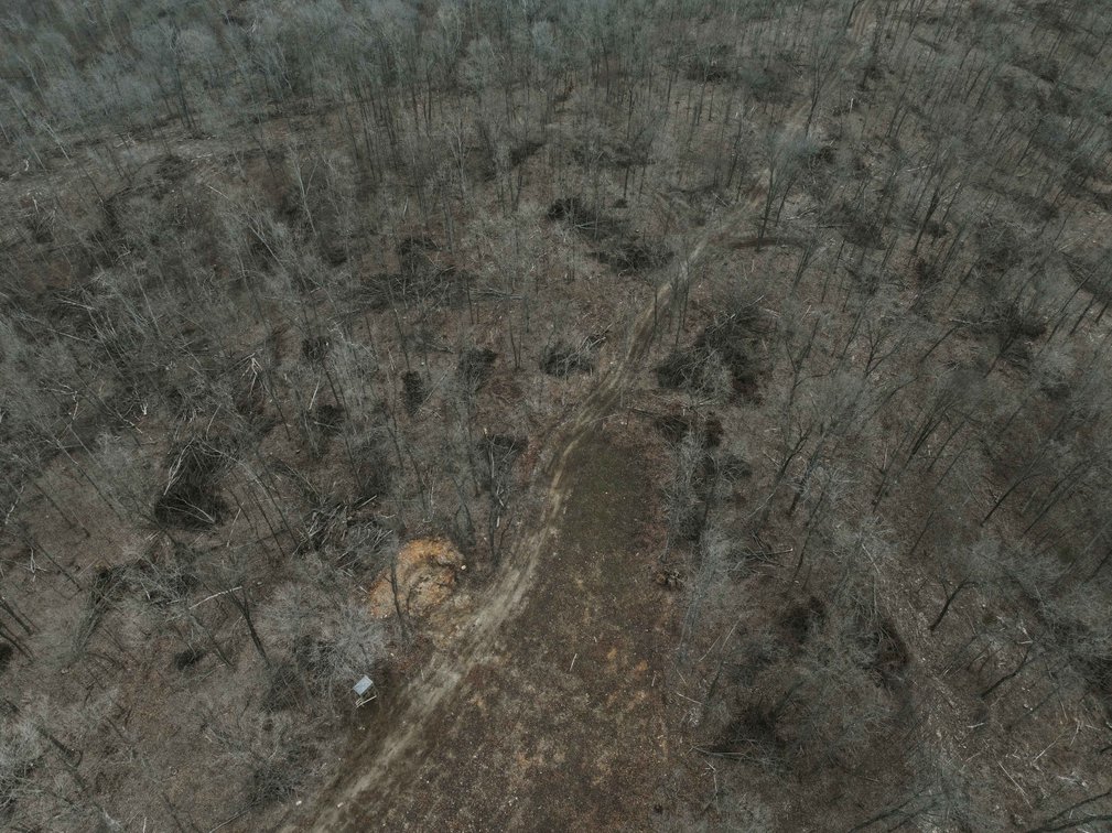 Image for 84.02 Acres +/-, BCR 532, Zalma MO 63787, MLS #25015211