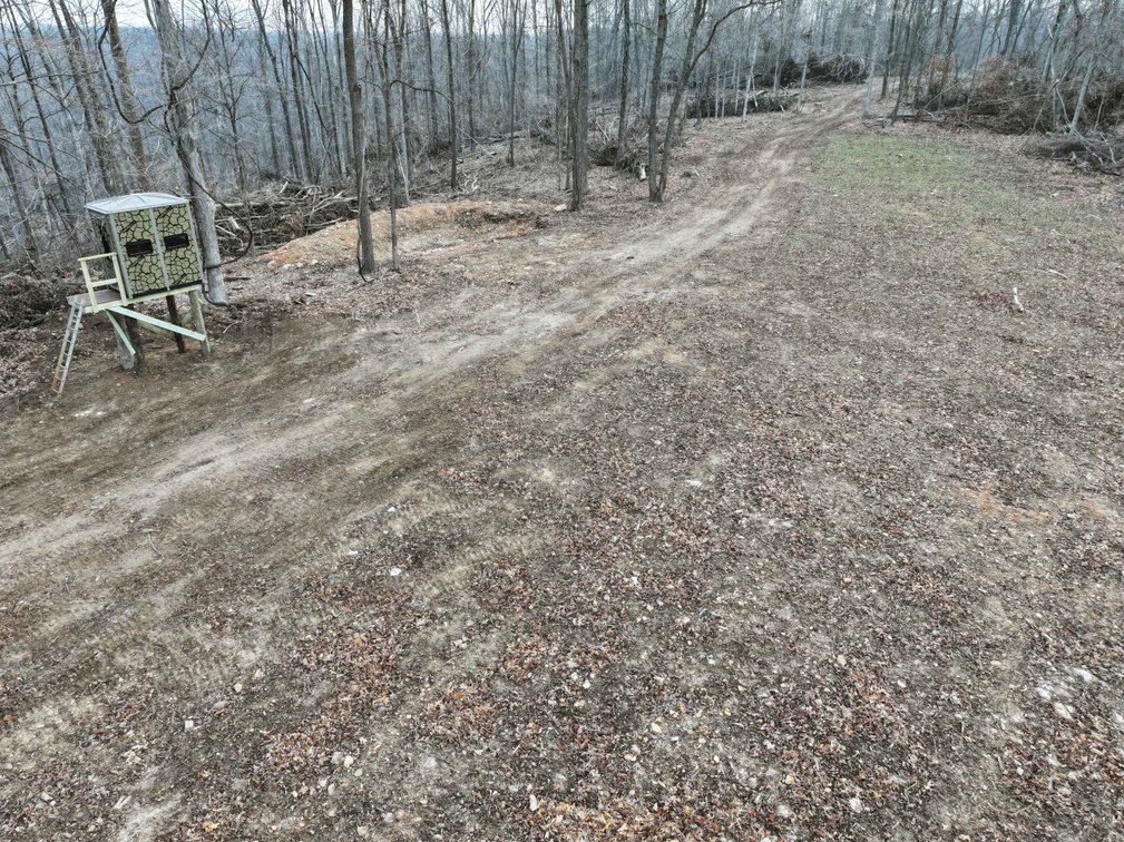 Image for 84.02 Acres +/-, BCR 532, Zalma MO 63787, MLS #25015211