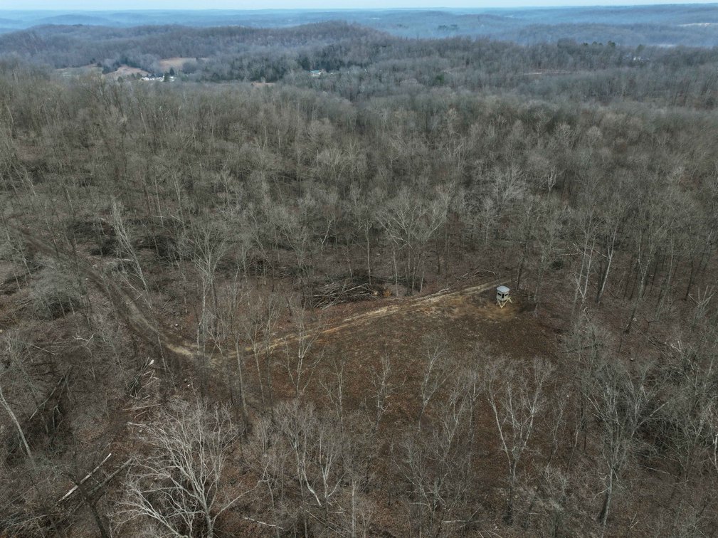 Image for 84.02 Acres +/-, BCR 532, Zalma MO 63787, MLS #25015211