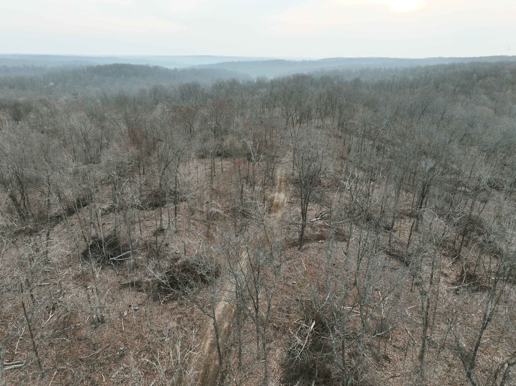 Image for 84.02 Acres +/-, BCR 532, Zalma MO 63787, MLS #25015211
