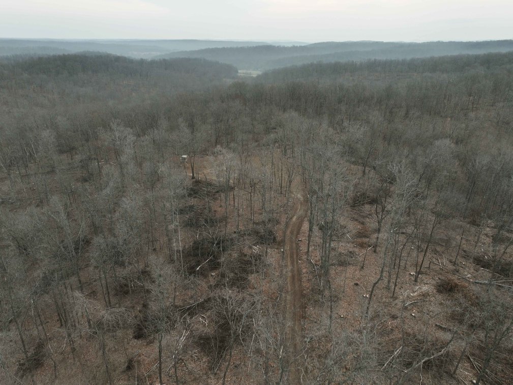 Image for 84.02 Acres +/-, BCR 532, Zalma MO 63787, MLS #25015211