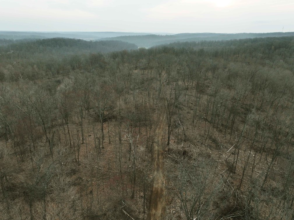 Image for 84.02 Acres +/-, BCR 532, Zalma MO 63787, MLS #25015211