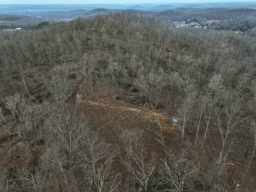 Image for 84.02 Acres +/-, BCR 532, Zalma MO 63787, MLS #25015211