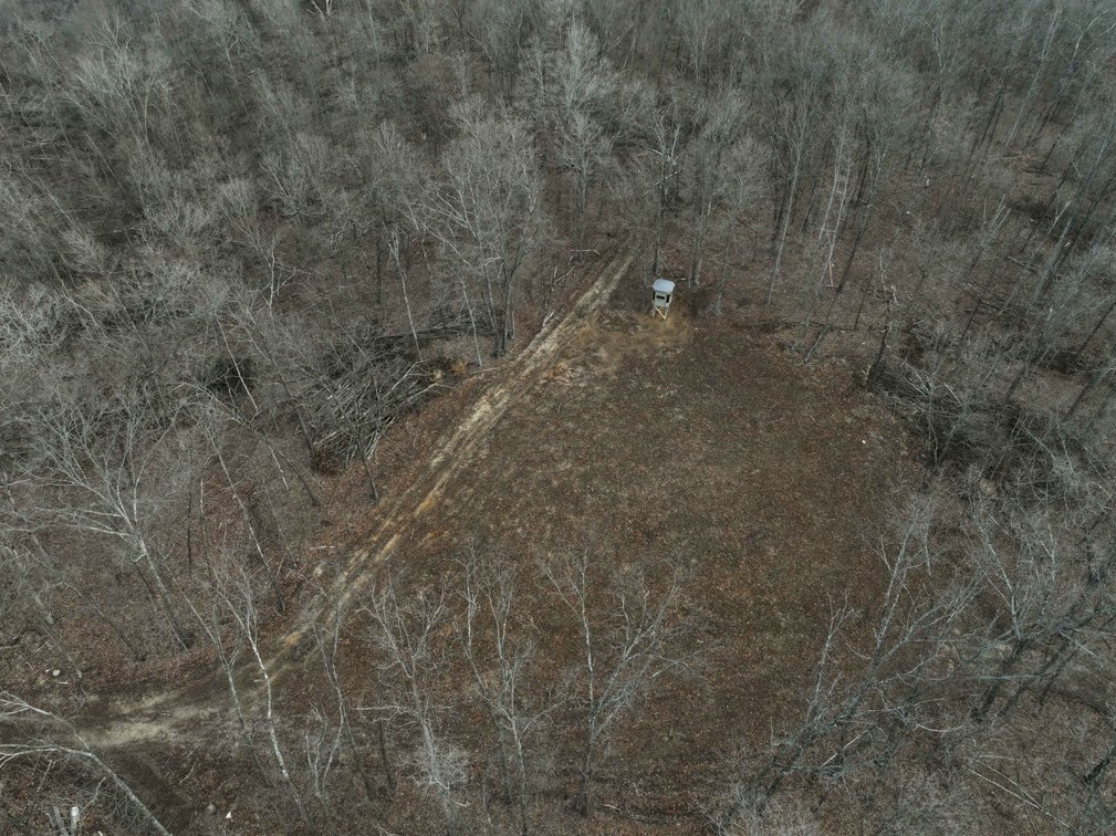 Image for 84.02 Acres +/-, BCR 532, Zalma MO 63787, MLS #25015211