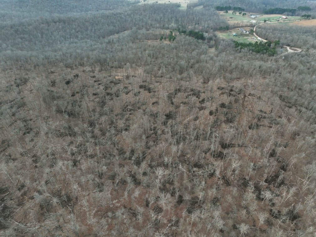 Image for 84.02 Acres +/-, BCR 532, Zalma MO 63787, MLS #25015211