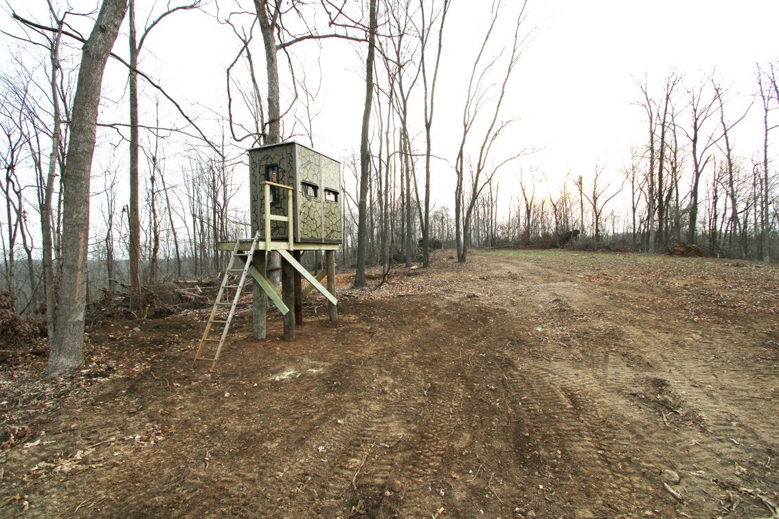 Image for 84.02 Acres +/-, BCR 532, Zalma MO 63787, MLS #25015211