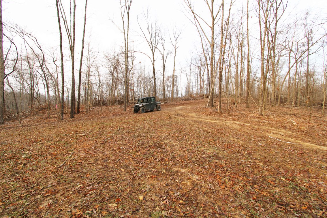 Image for 84.02 Acres +/-, BCR 532, Zalma MO 63787, MLS #25015211