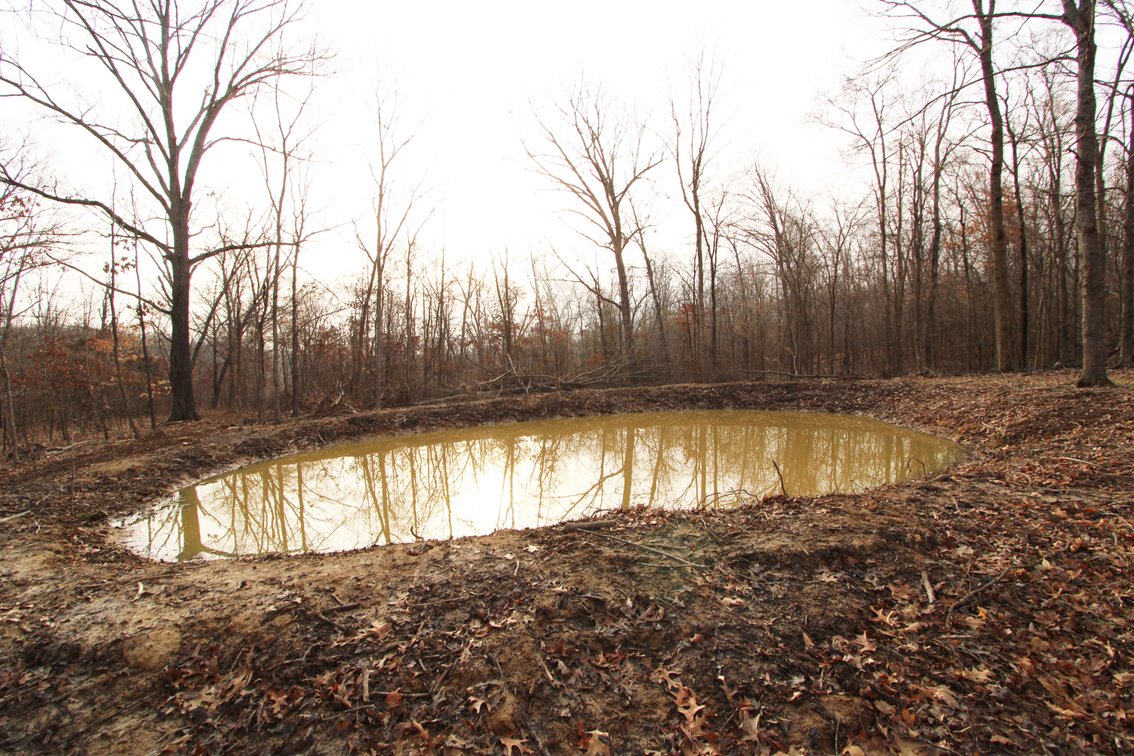 Image for 84.02 Acres +/-, BCR 532, Zalma MO 63787, MLS #25015211