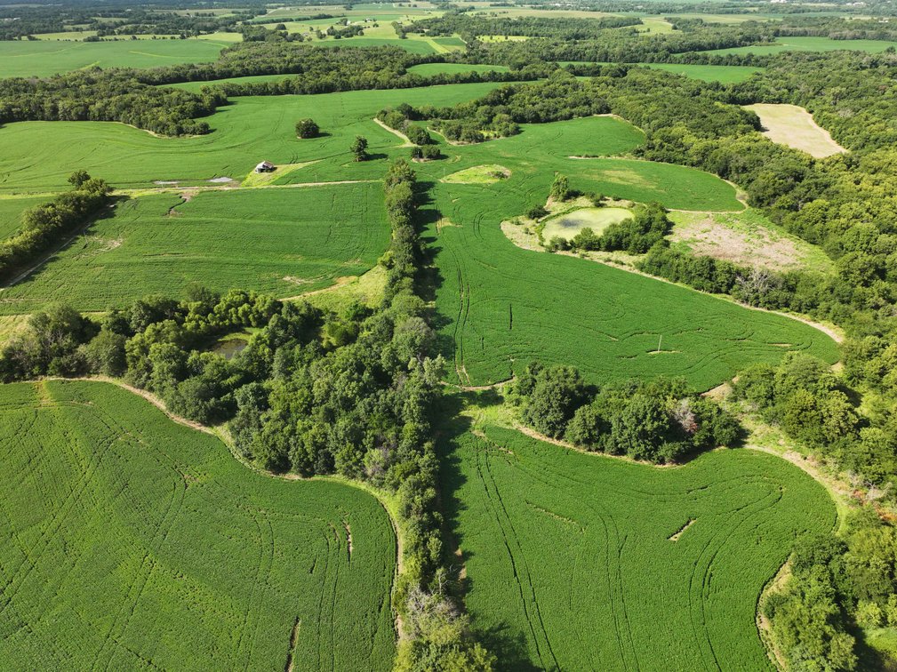 Image for 276.66 Acres M/L, 0 McAllister Road Houstonia, MO 65333, MLS #25030759