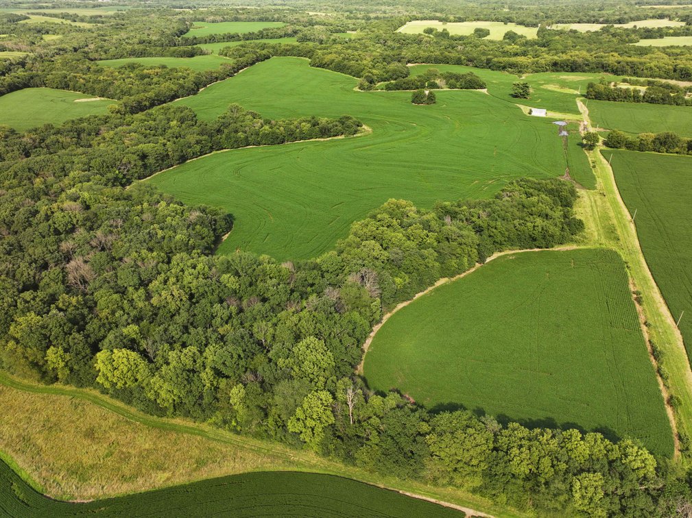Image for 276.66 Acres M/L, 0 McAllister Road Houstonia, MO 65333, MLS #25030759