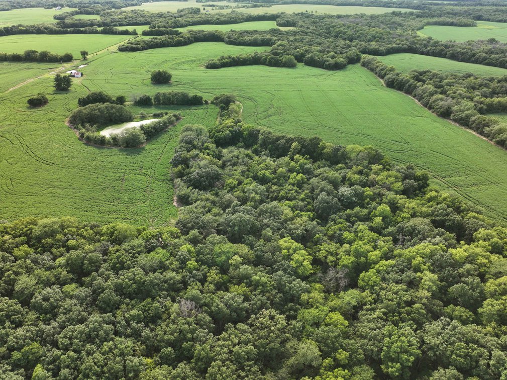 Image for 276.66 Acres M/L, 0 McAllister Road Houstonia, MO 65333, MLS #25030759
