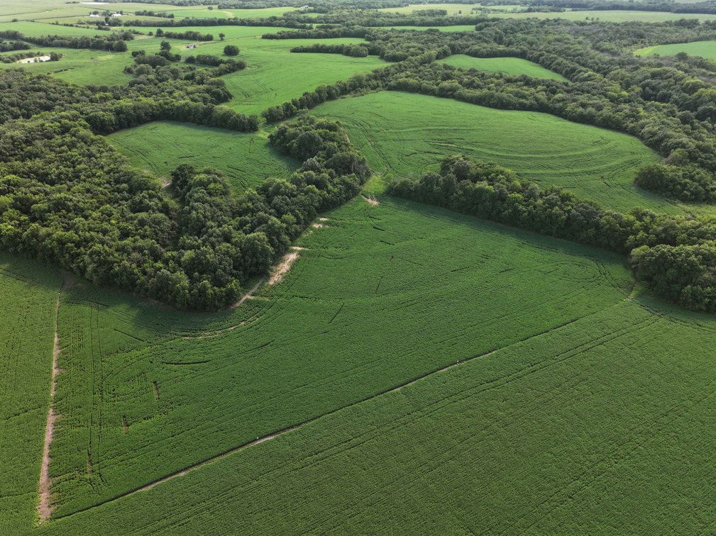 Image for 276.66 Acres M/L, 0 McAllister Road Houstonia, MO 65333, MLS #25030759
