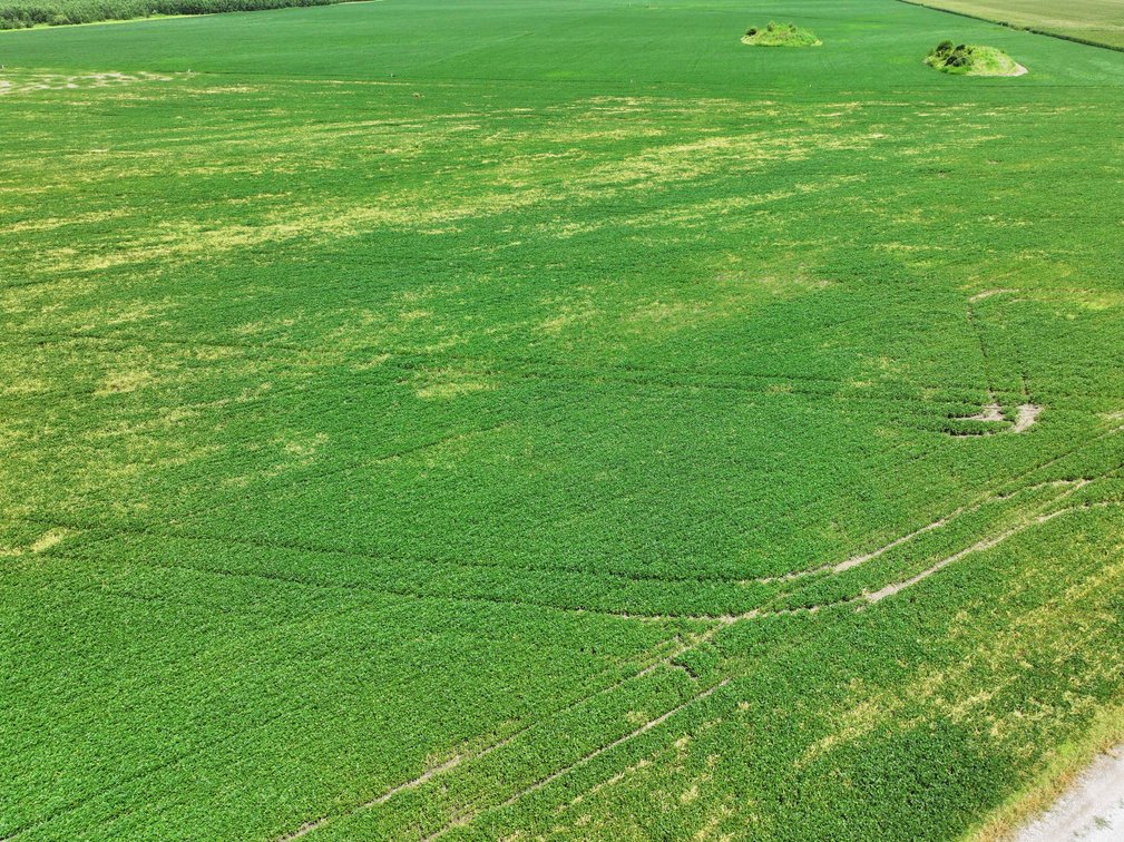 Image for 94.9 Acres M/L, County Road 102 Miami, MO 65344 MLS #25030753