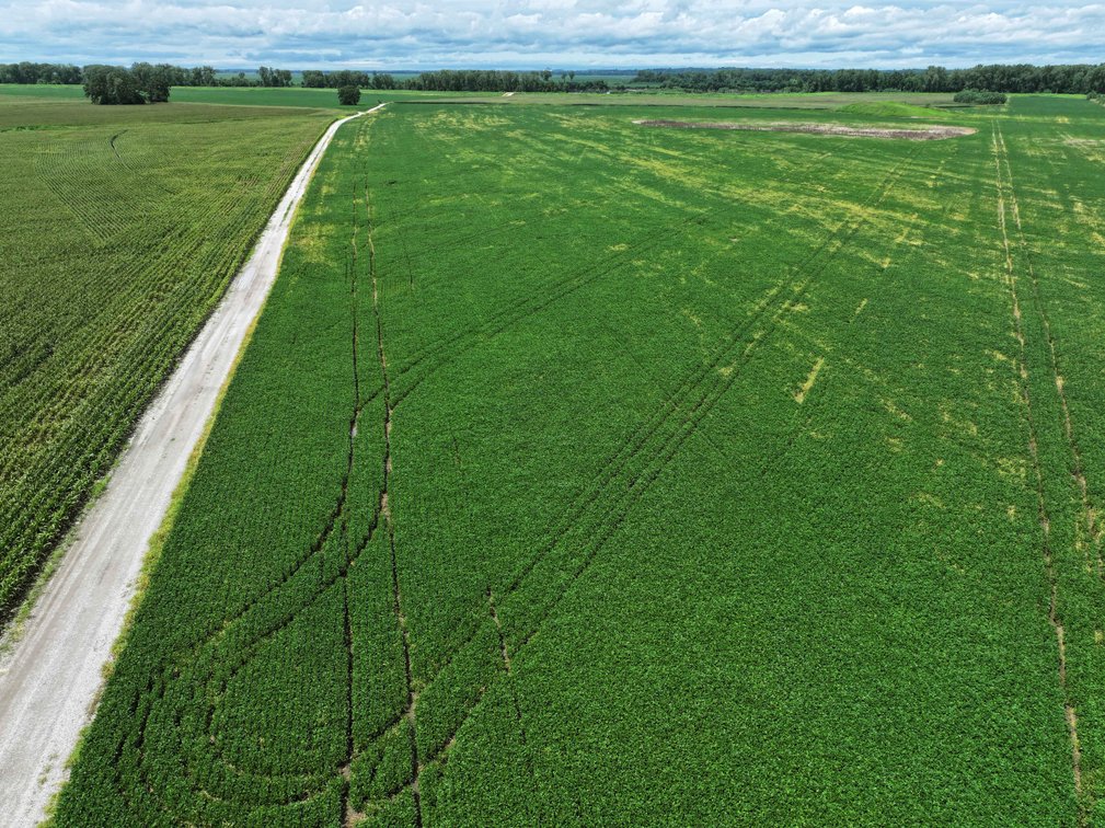 Image for 94.9 Acres M/L, County Road 102 Miami, MO 65344 MLS #25030753