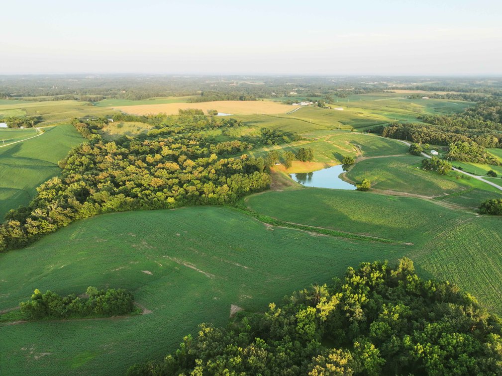 Image for 44.91 Acres +/-, Off of PCR 316, Perryville, MO 63775, MLS # 25050119