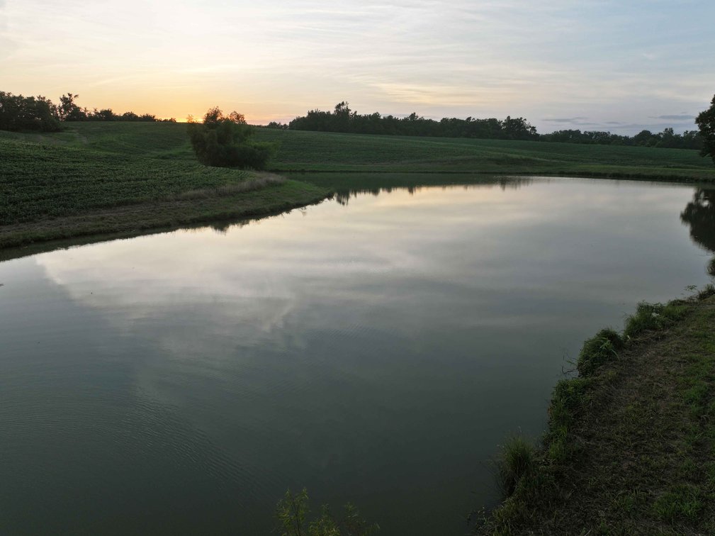 Image for 44.91 Acres +/-, Off of PCR 316, Perryville, MO 63775, MLS # 25050119