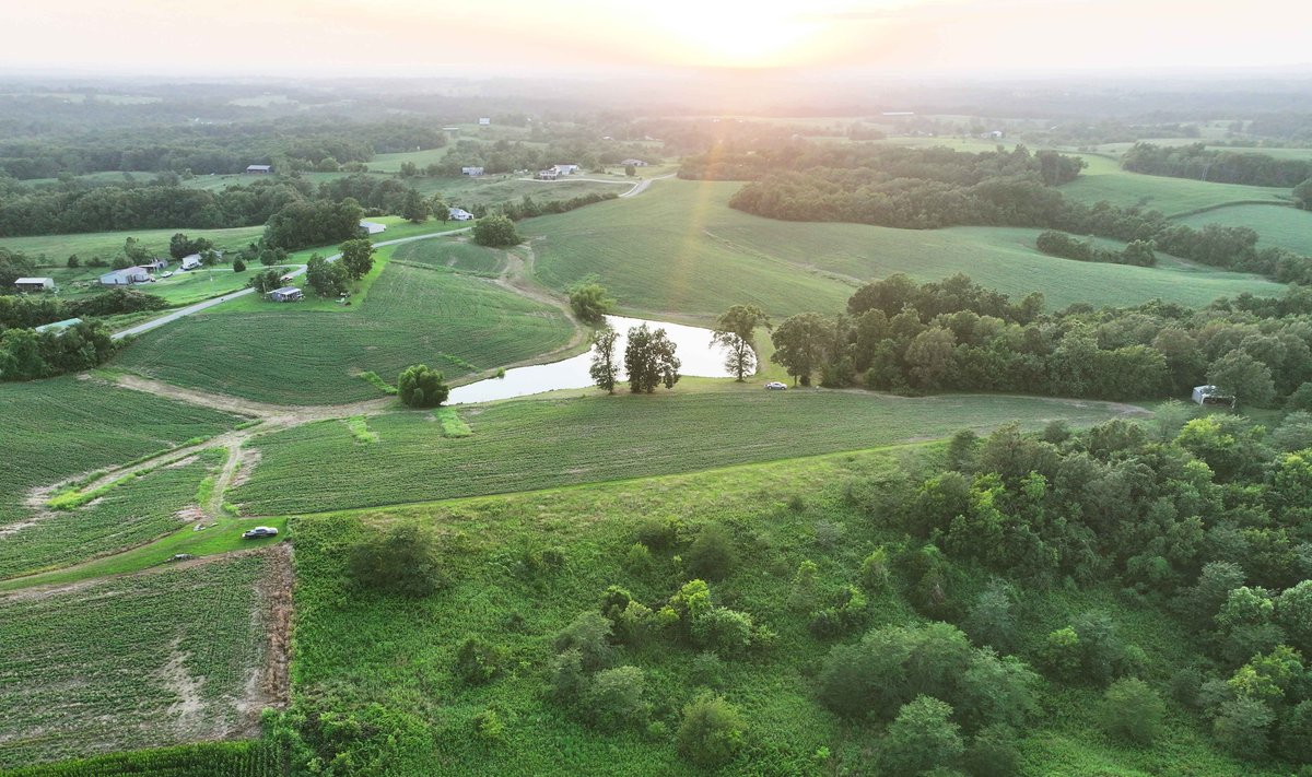 Image for 44.91 Acres +/-, Off of PCR 316, Perryville, MO 63775, MLS # 25050119