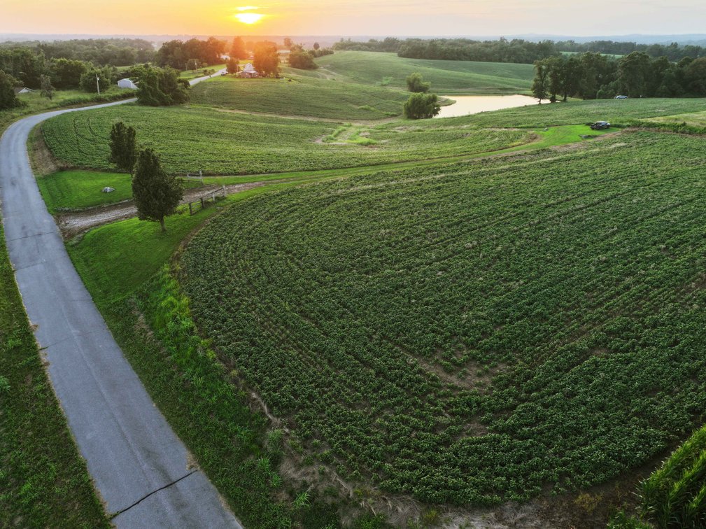 Image for 44.91 Acres +/-, Off of PCR 316, Perryville, MO 63775, MLS # 25050119