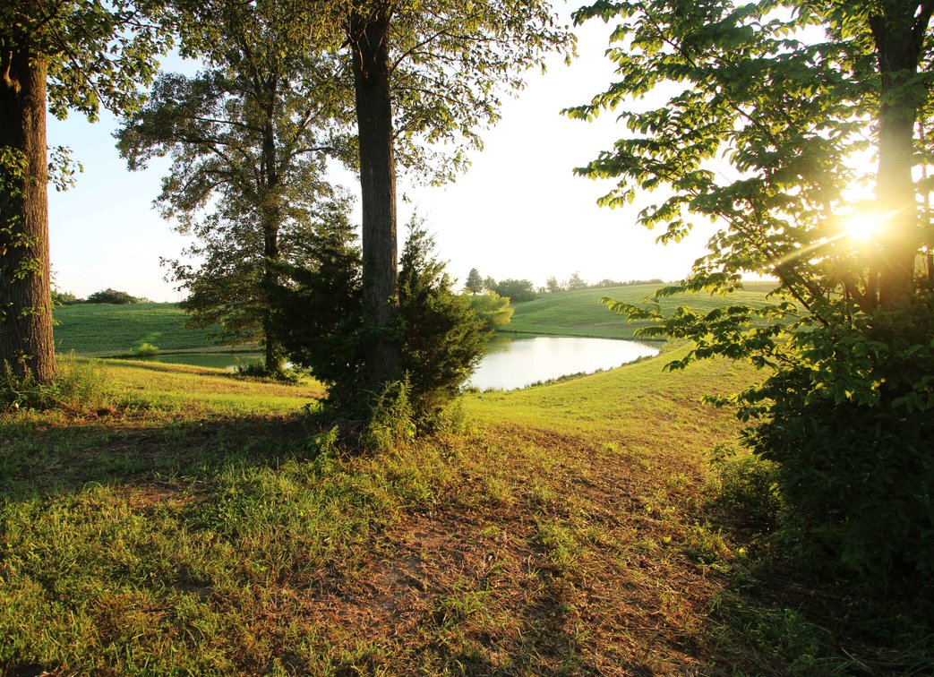 Image for 44.91 Acres +/-, Off of PCR 316, Perryville, MO 63775, MLS # 25050119