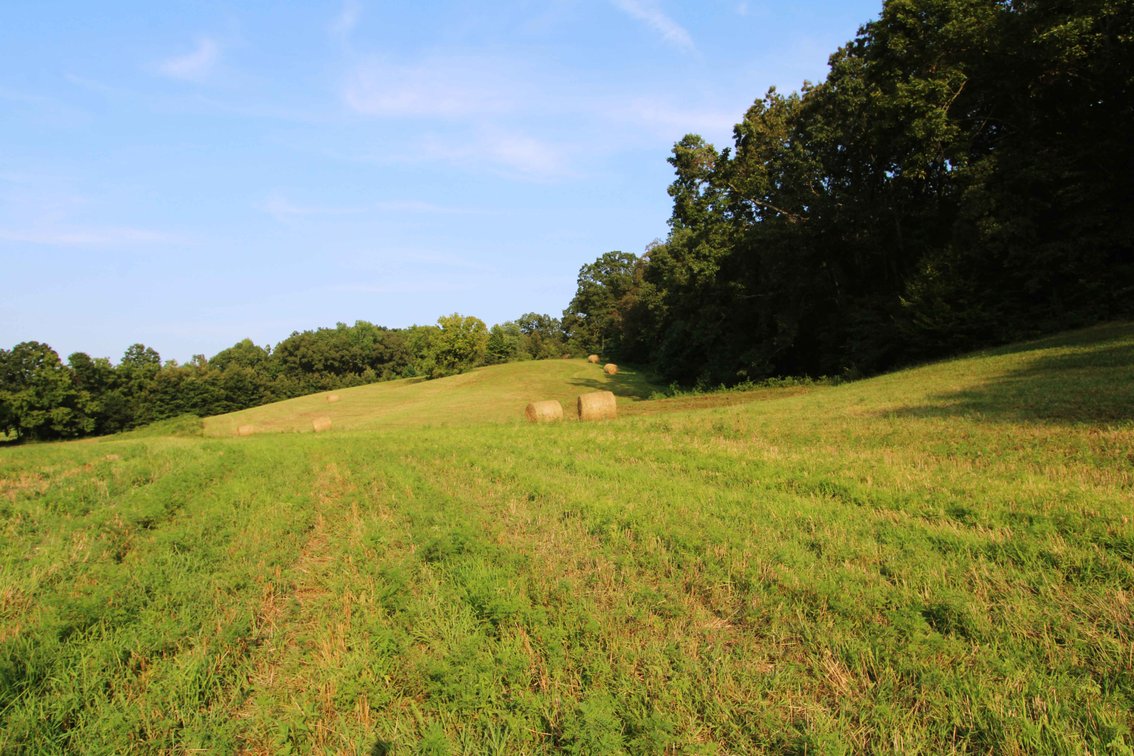 Image for 65.16 acres +/- off of County Road 522, Jackson MO 63755, MLS # 25009340