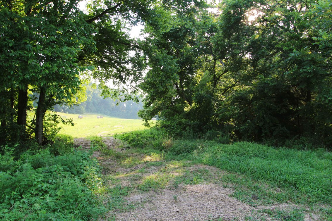 Image for 65.16 acres +/- off of County Road 522, Jackson MO 63755, MLS # 25009340