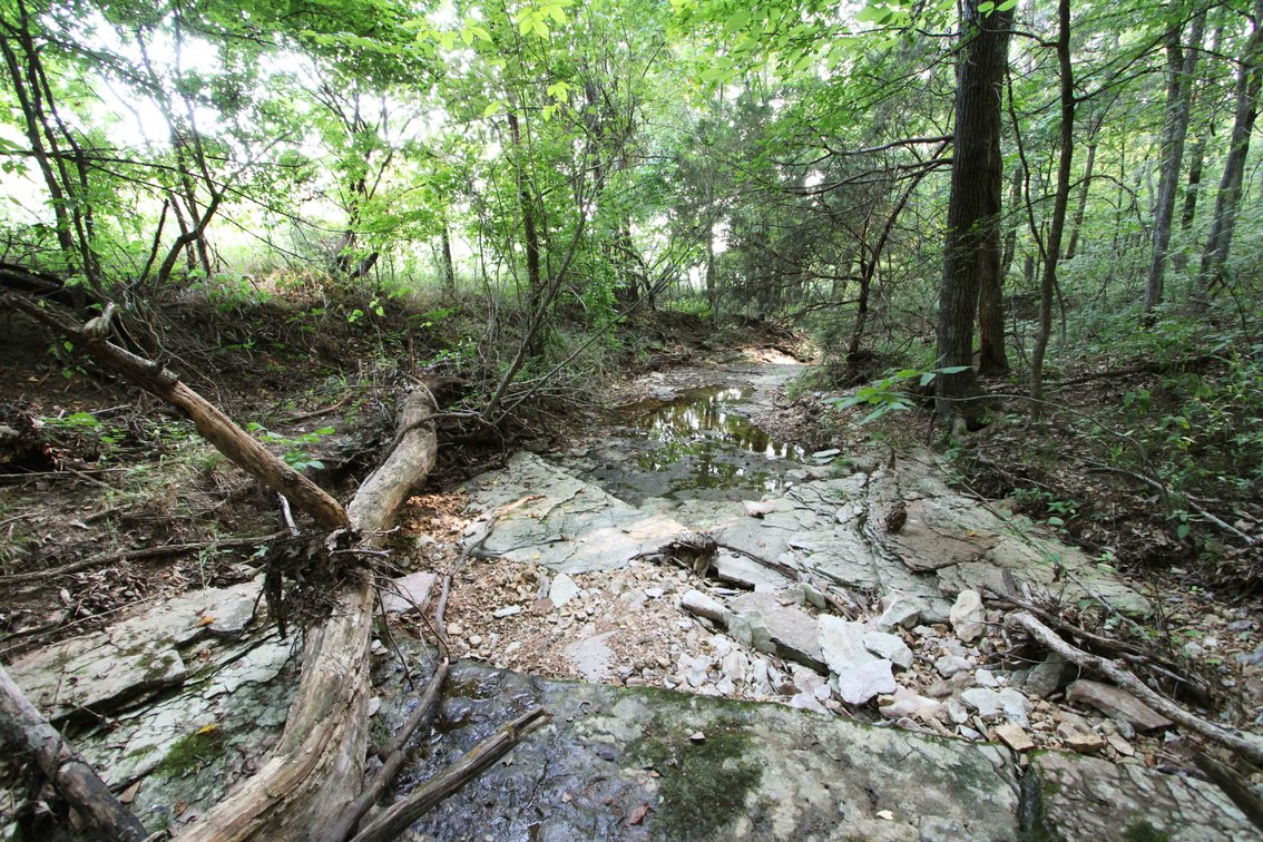 Image for 65.16 acres +/- off of County Road 522, Jackson MO 63755, MLS # 25009340