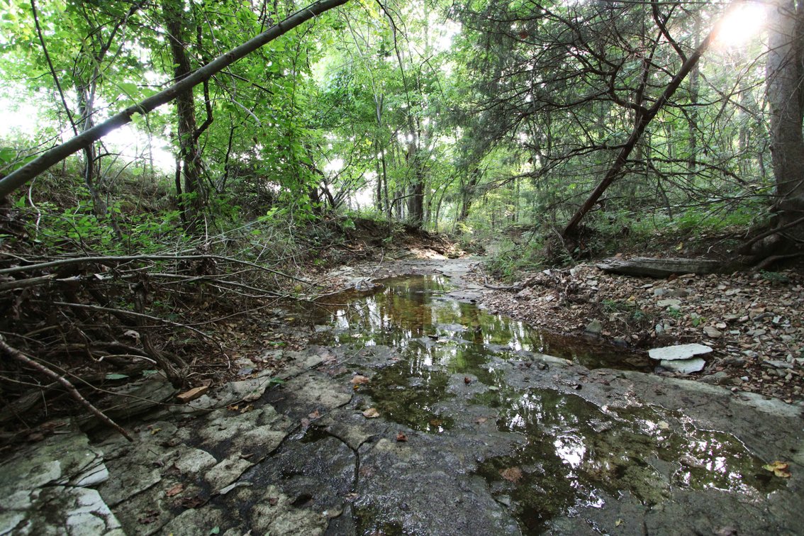 Image for 65.16 acres +/- off of County Road 522, Jackson MO 63755, MLS # 25009340