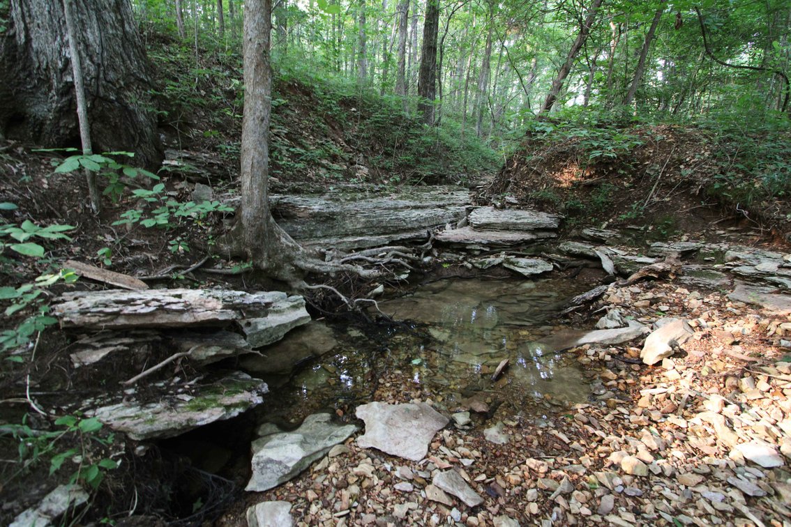 Image for 65.16 acres +/- off of County Road 522, Jackson MO 63755, MLS # 25009340