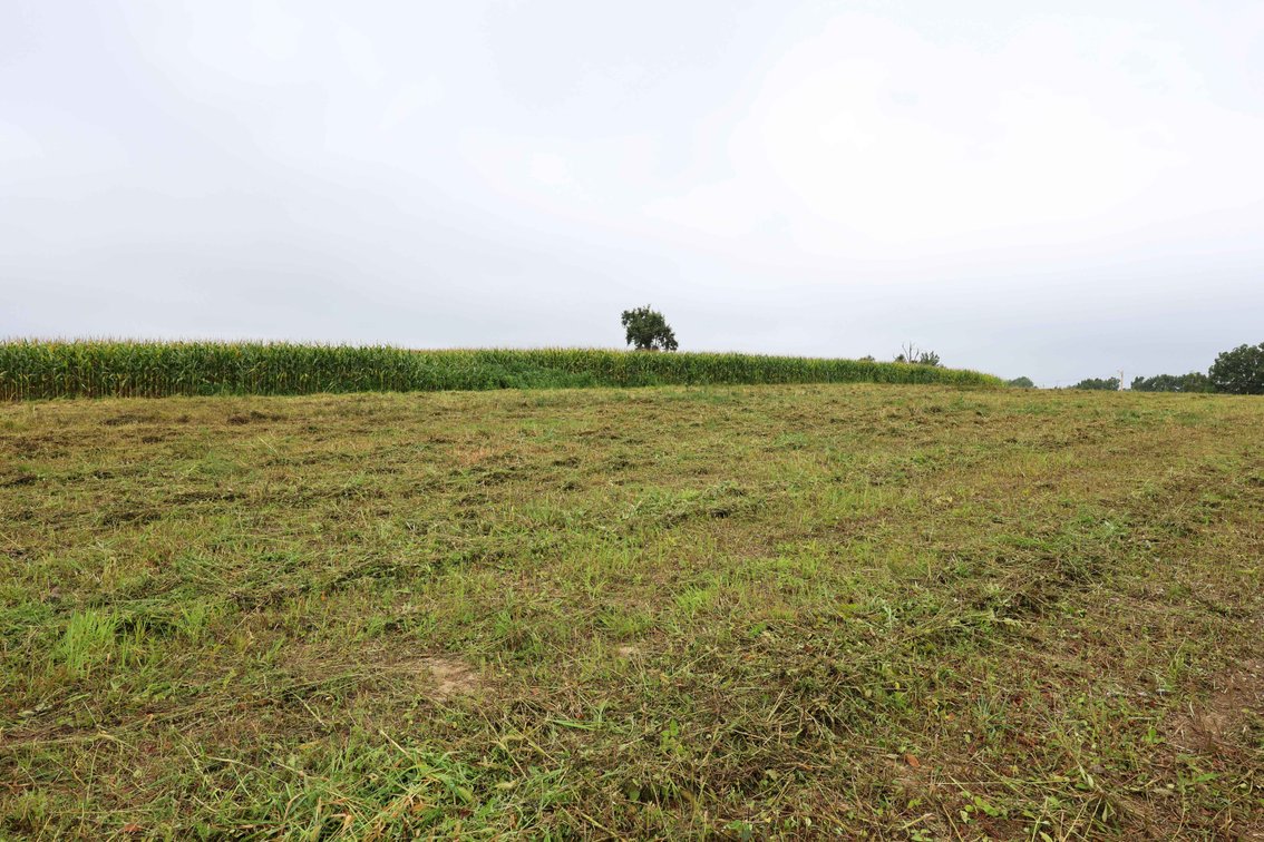 Image for 3.13 Acres m/l Lot 4B Vincientian Way/Hwy 51, Perryville, MO 63775