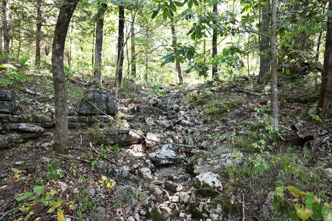 Image for 71.75 Acres +/-, Off Holmes Rd, St Mary, MO 63673, MLS # 25062290
