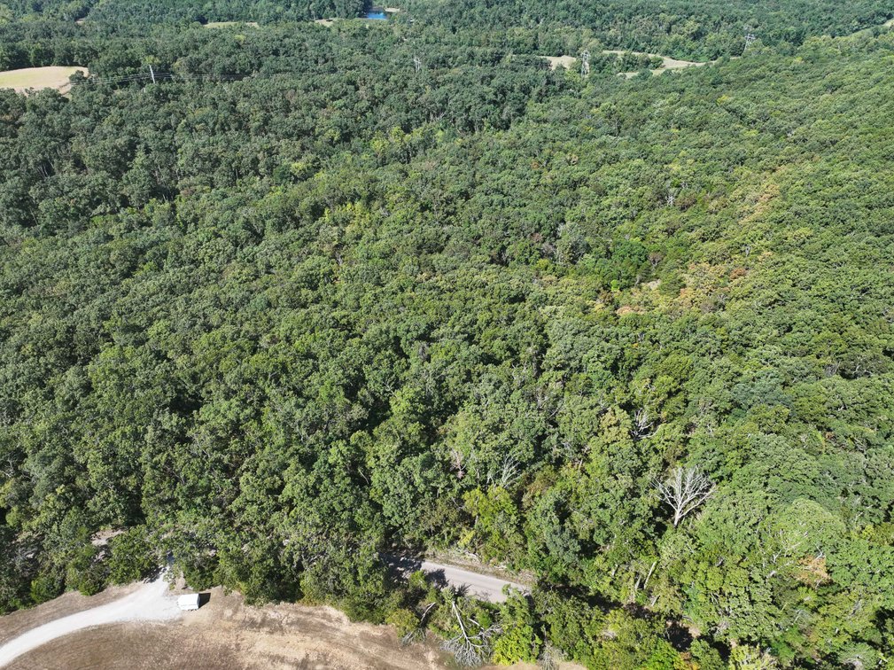 Image for 71.75 Acres +/-, Off Holmes Rd, St Mary, MO 63673, MLS # 25062290