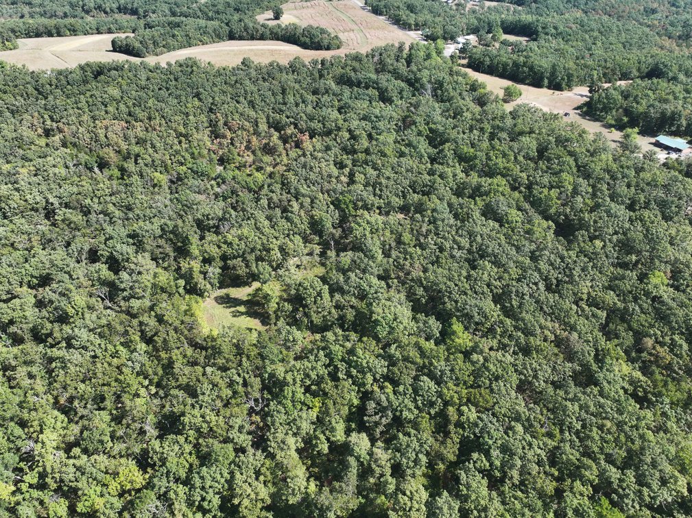 Image for 71.75 Acres +/-, Off Holmes Rd, St Mary, MO 63673, MLS # 25062290