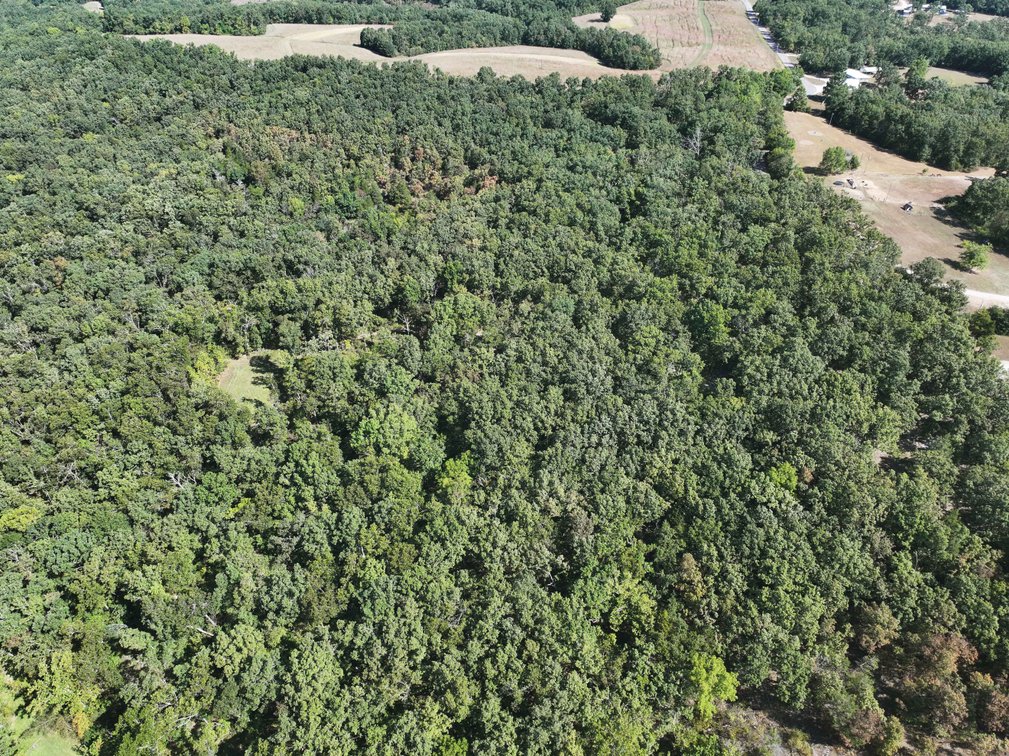Image for 71.75 Acres +/-, Off Holmes Rd, St Mary, MO 63673, MLS # 25062290