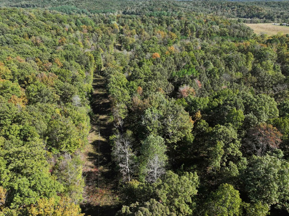 Image for 29.57 Ac +/- Off Hwy PP, Marble Hill MO 63764, MLS # 25071827