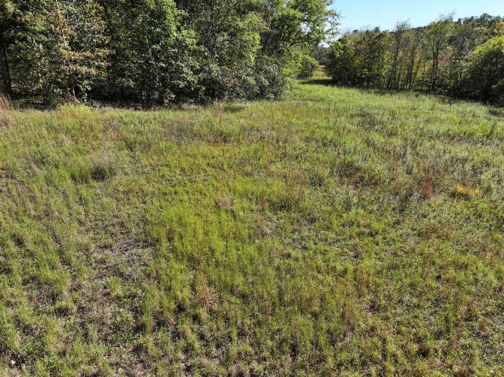 Image for 29.57 Ac +/- Off Hwy PP, Marble Hill MO 63764, MLS # 25071827