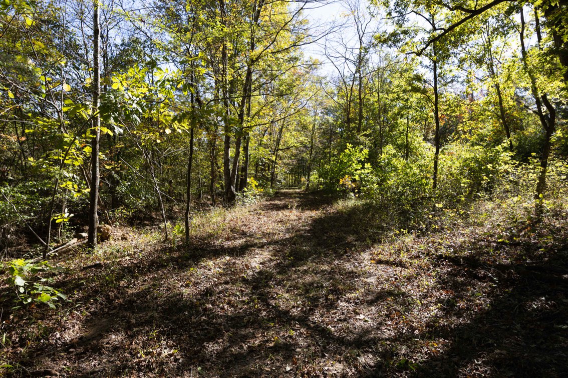 Image for 29.57 Ac +/- Off Hwy PP, Marble Hill MO 63764, MLS # 25071827