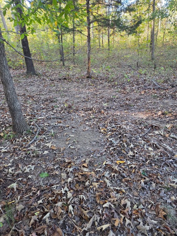 Image for 29.57 Ac +/- Off Hwy PP, Marble Hill MO 63764, MLS # 25071827